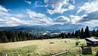 56 zakopané  gubalowka.jpg